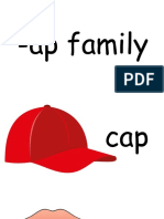Ap Family