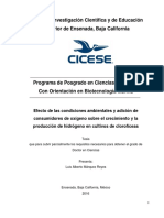 Centro de Investigación Científica y de Educación Superior de Ensenada, Baja California