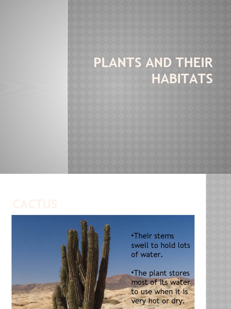 Plants and Their Habitats PDF