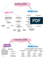 Mapa Ateroesclerosis 1 - Removed