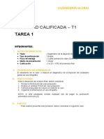 Actividad Calificada - T1: Tarea 1