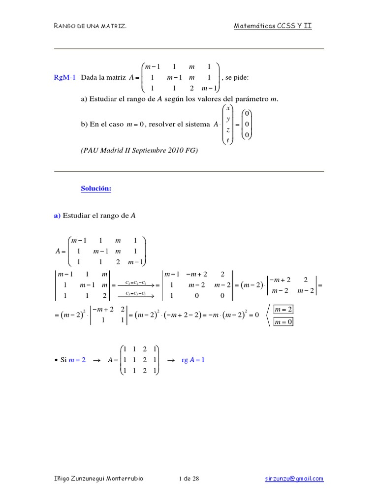Estudio del Rango de Matrices | PDF