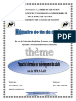 Memoire Final