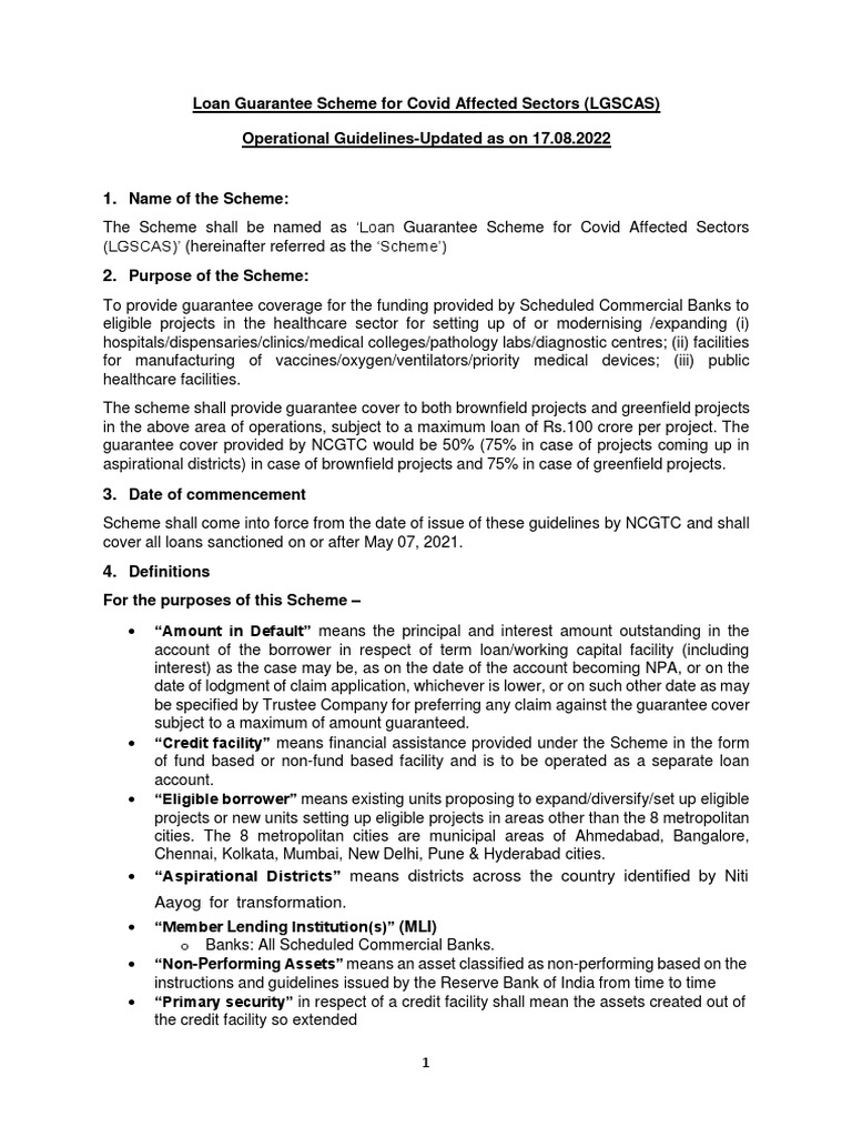 Overview of the Loan Guarantee Scheme for Covid Affected Sectors