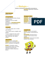 Resumo sobre poríferos, cnidários e relações ecológicas