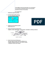 Protoza Test Solutions