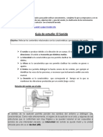 Guía de Estudio: El Sonido: Lo Esencial