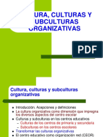 Culturas y Subculturas Organizativas OIE 2021-2022