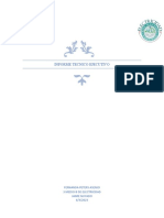 Informe Tecnico Ejecutivo: Fernanda Peters Asenjo 3 Medio B de Electricidad Jaime Nuyado 6/4/2023