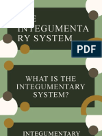 The Integumentary System