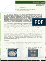 4 - 7 Permeabilidade Membranas A Moléculas e Íons