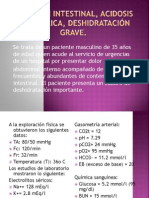 Oclusión Intestinal, Acidosis Metabólica, Deshidratación Grave