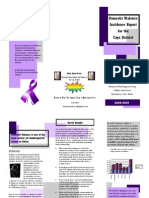 Domestic Violence Incidence Survey Brochure)
