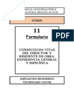 11.1. - Curriculum Vitae Del Director de Obra (Otros)