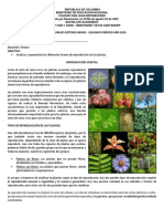 7.3. Guía Taller - REPRODUCCIÓN EN PLANTAS - Séptimo Grado - SEGUNDO PERIODO