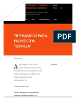 Laura - TIPS BÁSICOS PARA PROYECTOS "SEMILLA"