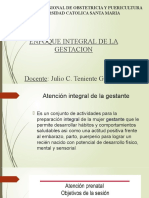 Enfoque Integral de La Gestacion: Escuela Profesional de Obstetricia Y Puericultura Universidad Catolica Santa Maria