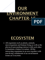 Understanding Ecosystems and Food Webs