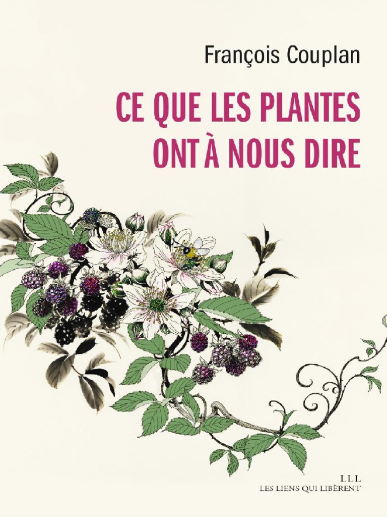 Explosion de fleurs sauvages - Coffret de multiplication des