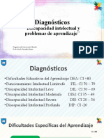 Diagnósticos: "Discapacidad Intelectual y Problemas de Aprendizaje"