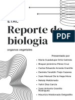 Reporte de Biologia: Organos Vegetales