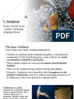 Phylum Ceolenterata: Cnidaria: From A Greek Word "Cnidos" Meaning Stinging Thread