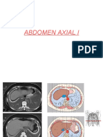 Abdomen axial órganos