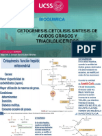 Cetogenesis - Cetolisis.sintesis de Acidos Grasos y Triacilgliceridos