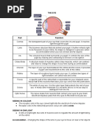 The Eye - Printed