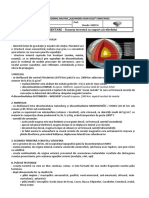 Fisa de Documentare - Scoarta Terestra