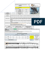 SKFN0066 - Reporte de Inspeccion Pilotes - Faja Tripper - 18-01-2023