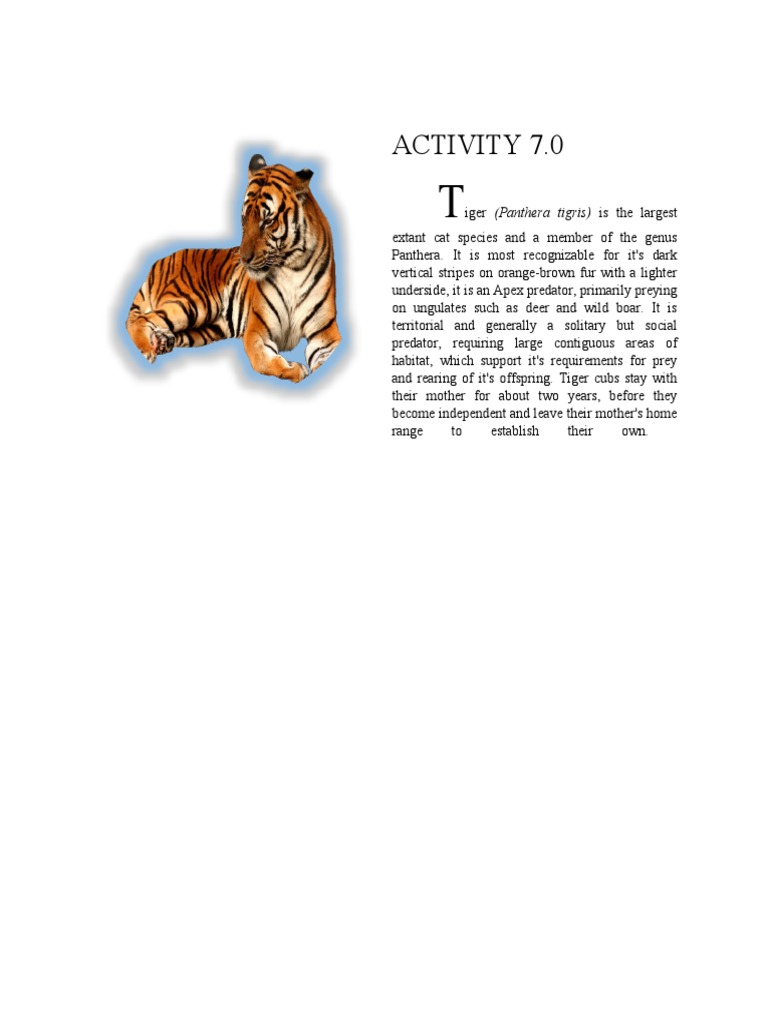 ACTIVITY 7 and 8 PDF Rose Organisms