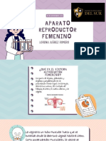 Aparato Reproductor Femenino-2