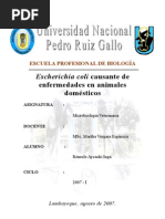 Download Escherichia Coli causante de enfermedades en animales domesticos by Romulo Aycachi Inga SN6389472 doc pdf