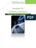 UD10 Cultivos Celulares