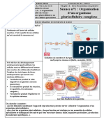 Cours Cellules Et Appareils Reproducteurs Et Échelles