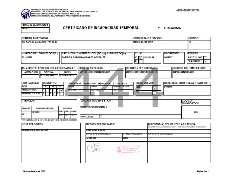 Incapacidad Temporal PDF
