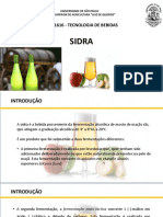 Produção de Sidra: Processos e Características