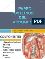 Abdominal Posterior