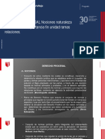 Sesión 02: DERECHO PROCESAL Nociones Naturaleza Características Importancia Fin Unidad Ramas Relaciones