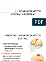 neuron-motor-central-si-periferic