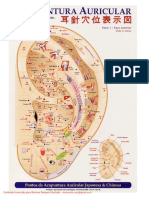 Mapas Auriculoterapia PDF