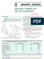 Fisiologia Do Algodão