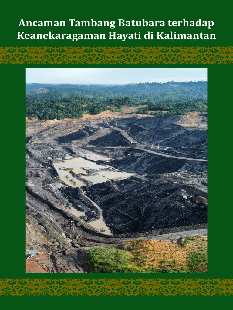 Pengawasan tambang oleh pemerintah di Kalimantan