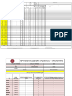 Registro Individual Horas Extras