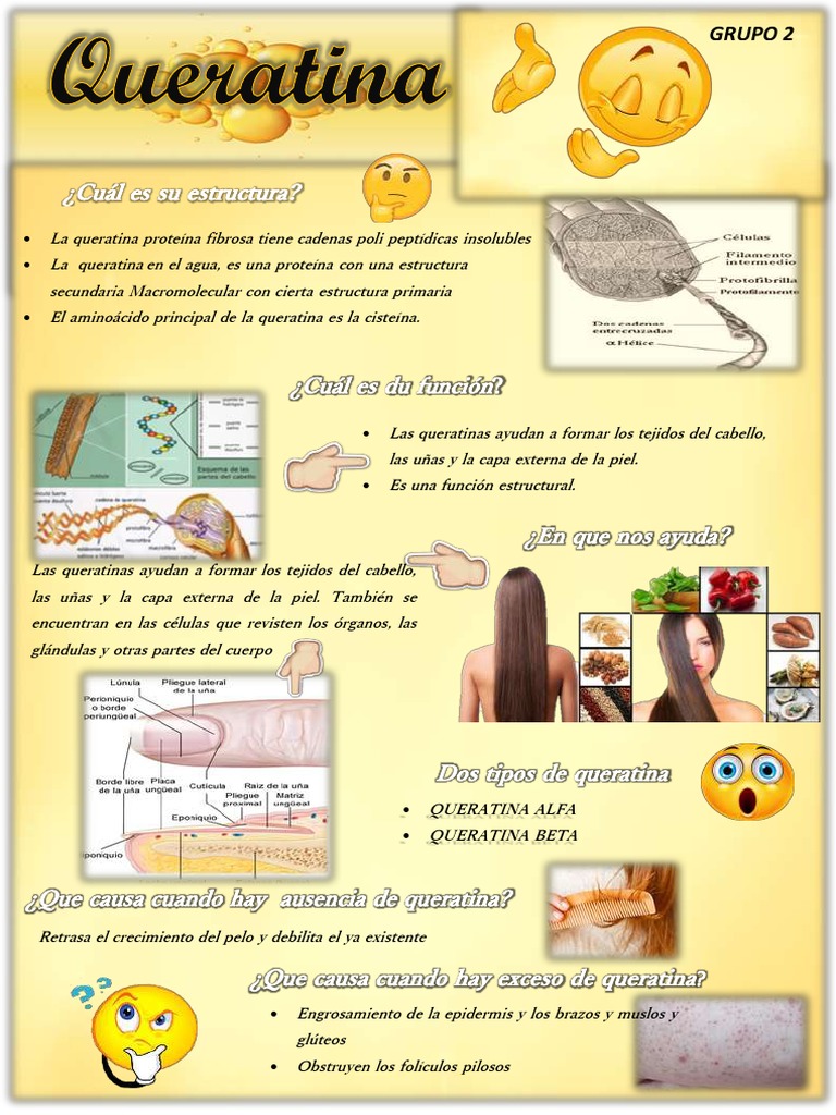 la-estructura-y-funci-n-de-la-queratina-en-el-cuerpo-humano-pdf