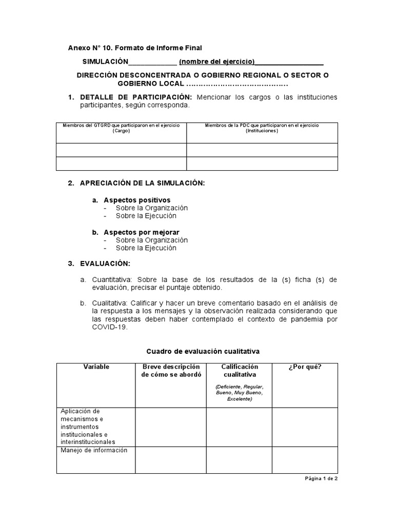 ANEXO 10 PDF