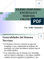 Tejido Nervioso, Encefalo y PC