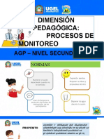 Dimensión Pedagógica: Procesos de Monitoreo: Agp - Nivel Secundaria