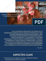 Medidas de Prevención, Control y Erradicación en Salud Animal